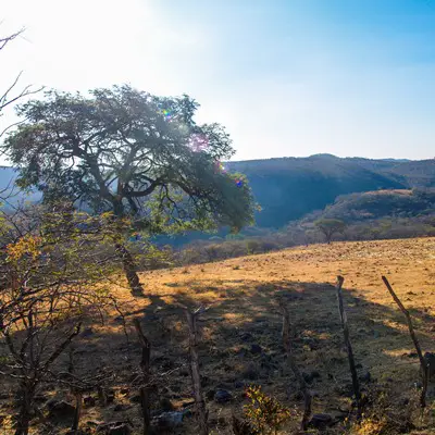 2013 - Sierra de Huautla